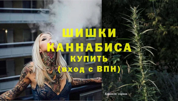 гашик Богородицк