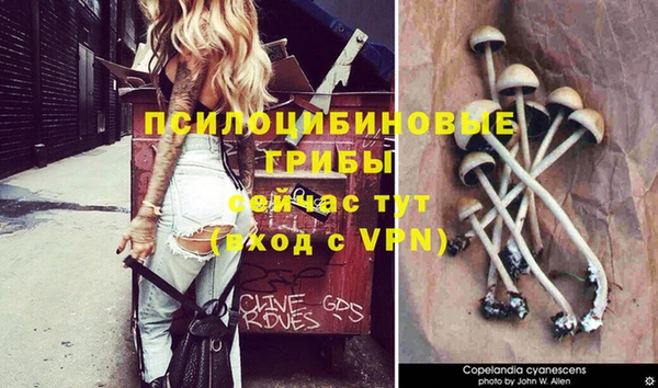 гашик Богородицк