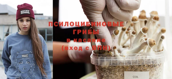 ALPHA PVP Богородск